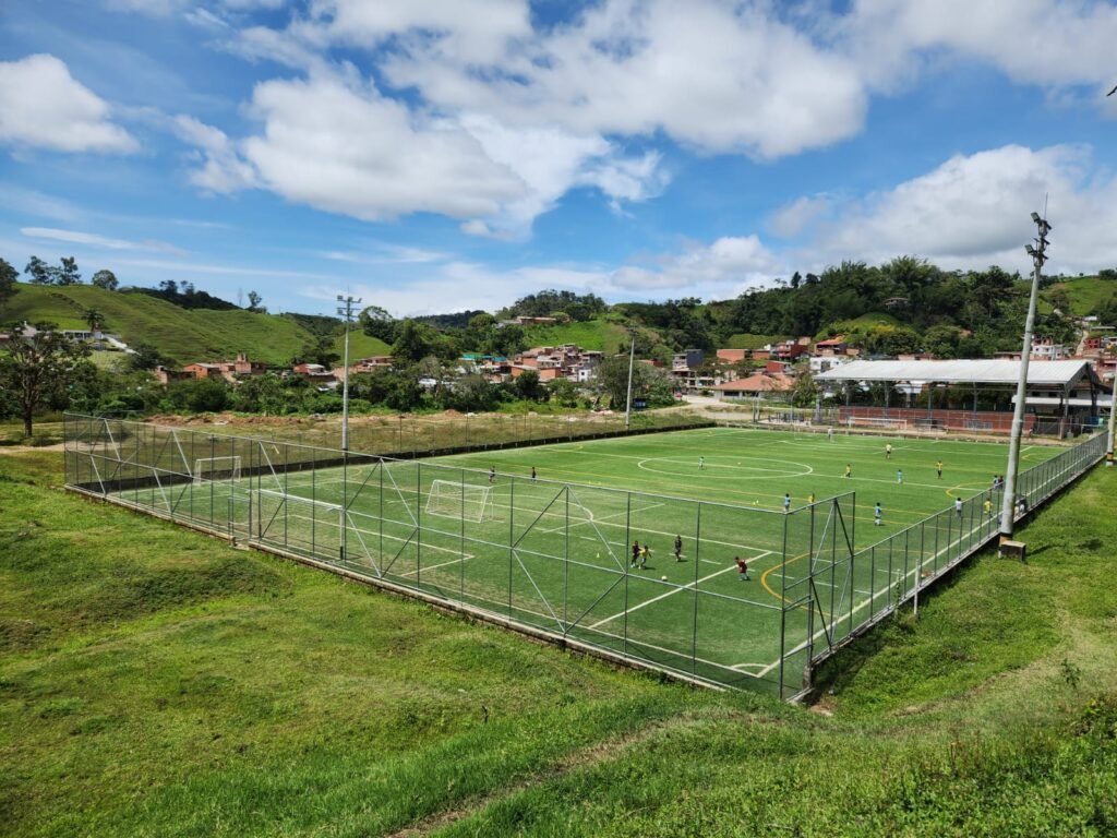 Mantenimiento_Grama_Sintetica_3